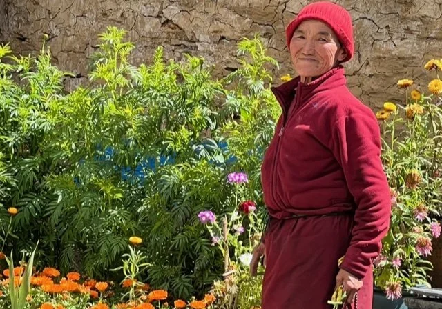 Person gardening in a colorful flower garden.